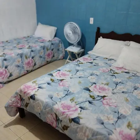 Apartamento Cercado Por Natureza E Diversao Maceio  Exterior photo