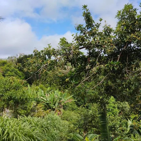 Apartamento Cercado Por Natureza E Diversao Maceio  Exterior photo