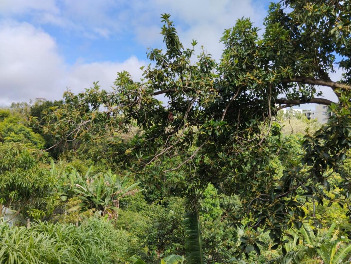 Cercado Por Natureza E Diversao Maceio (Alagoas)